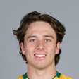 Dewald Brevis
