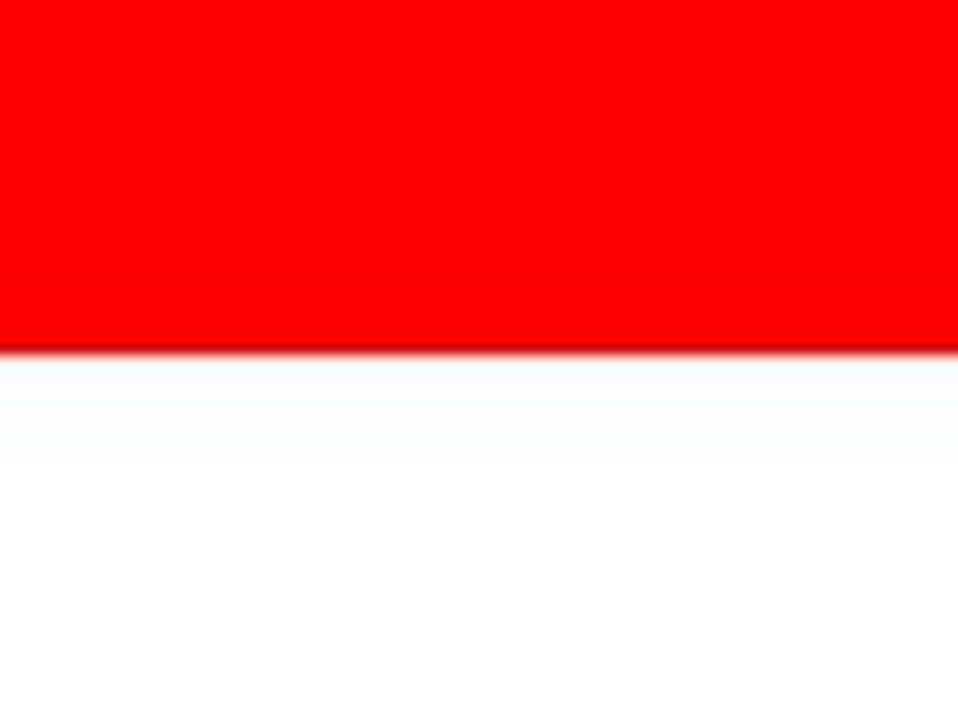 Indonesia Women logo