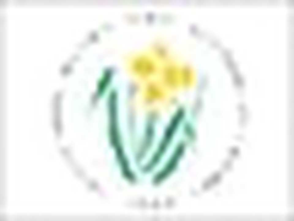 Glamorgan logo