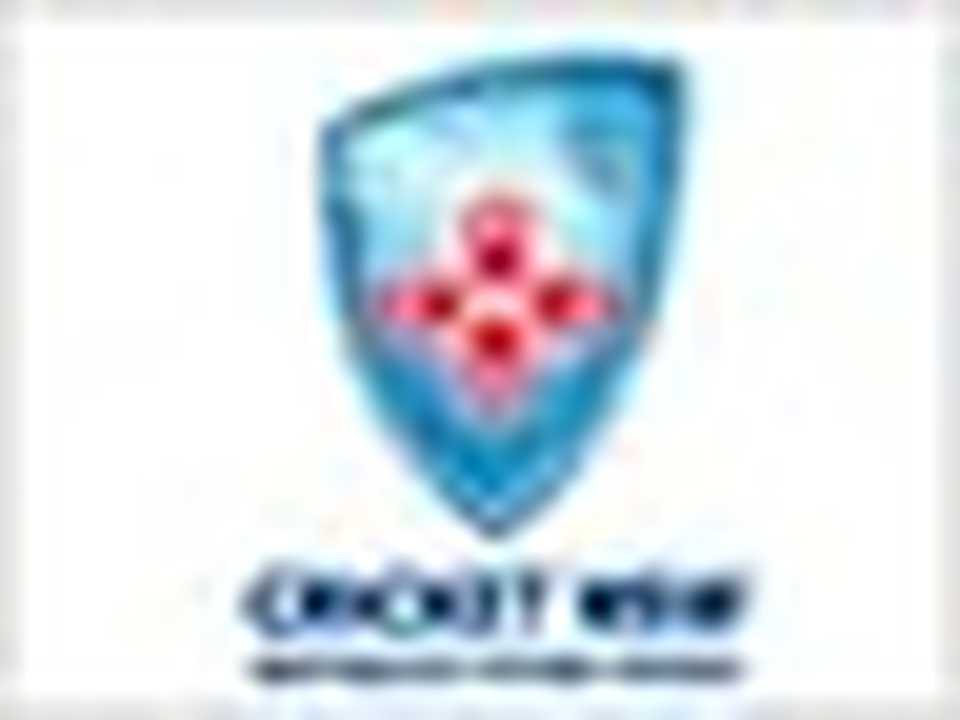 New South Wales logo