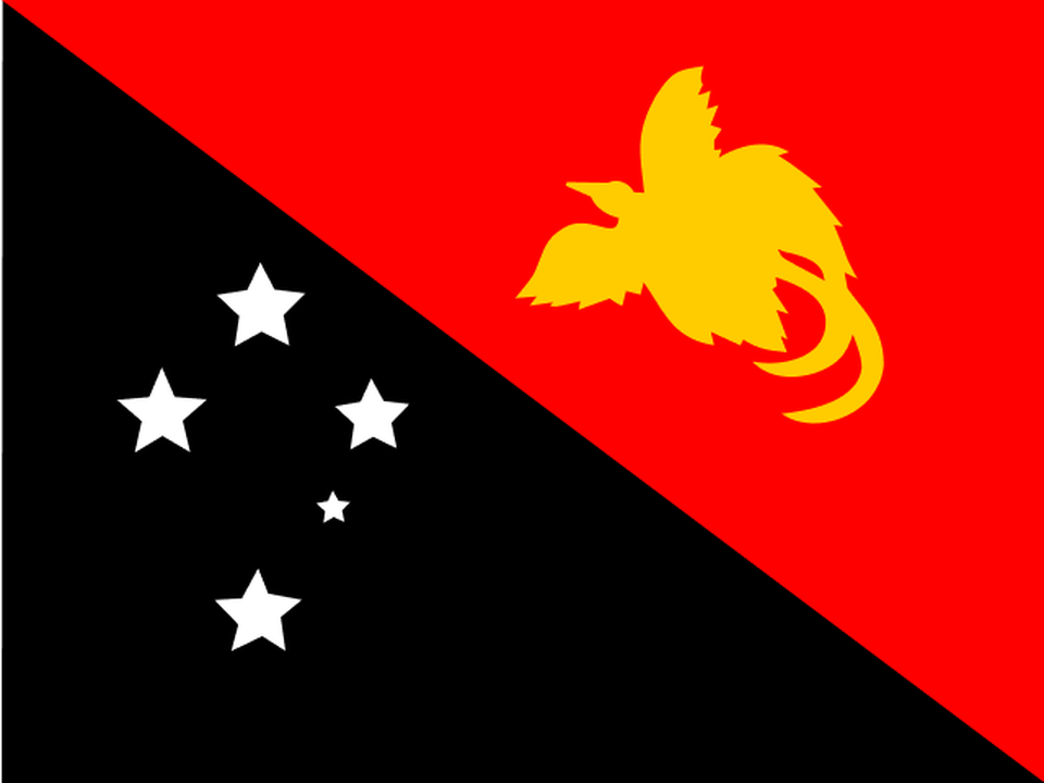 Papua New Guinea Women logo