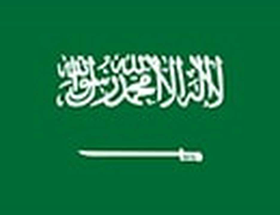 Saudi Arabia logo