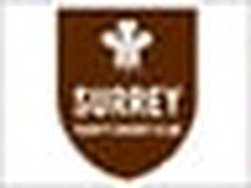 Surrey logo