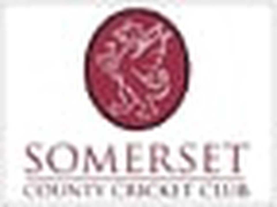 Somerset logo