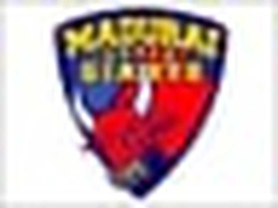 Madurai Panthers logo