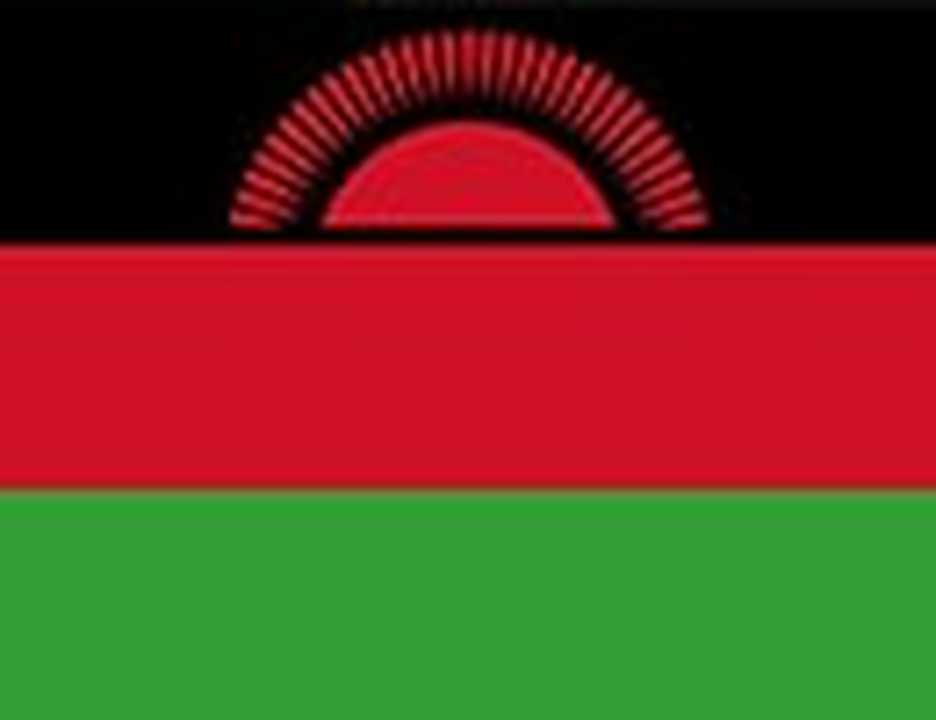 Malawi logo