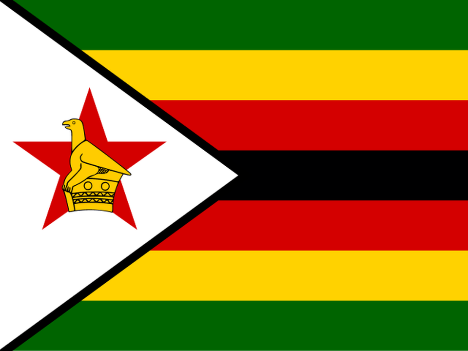 Zimbabwe Women logo