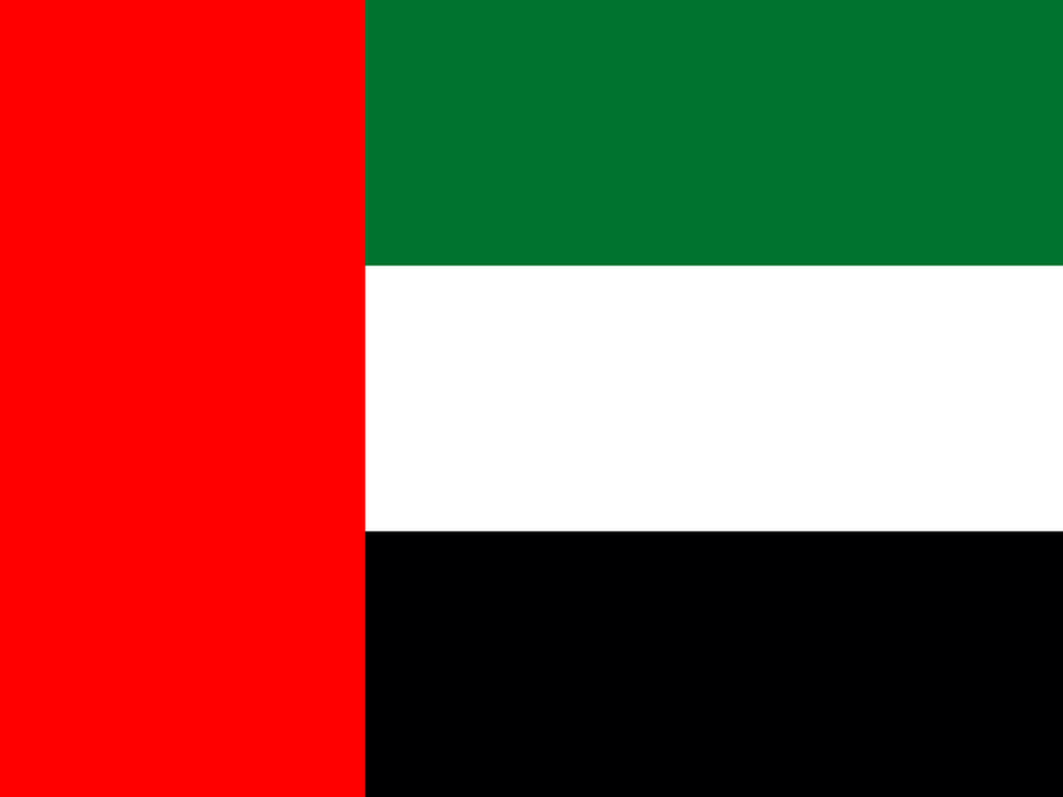 United Arab Emirates logo