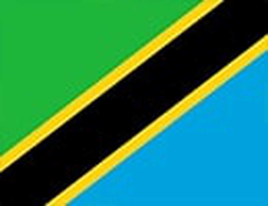 Tanzania logo