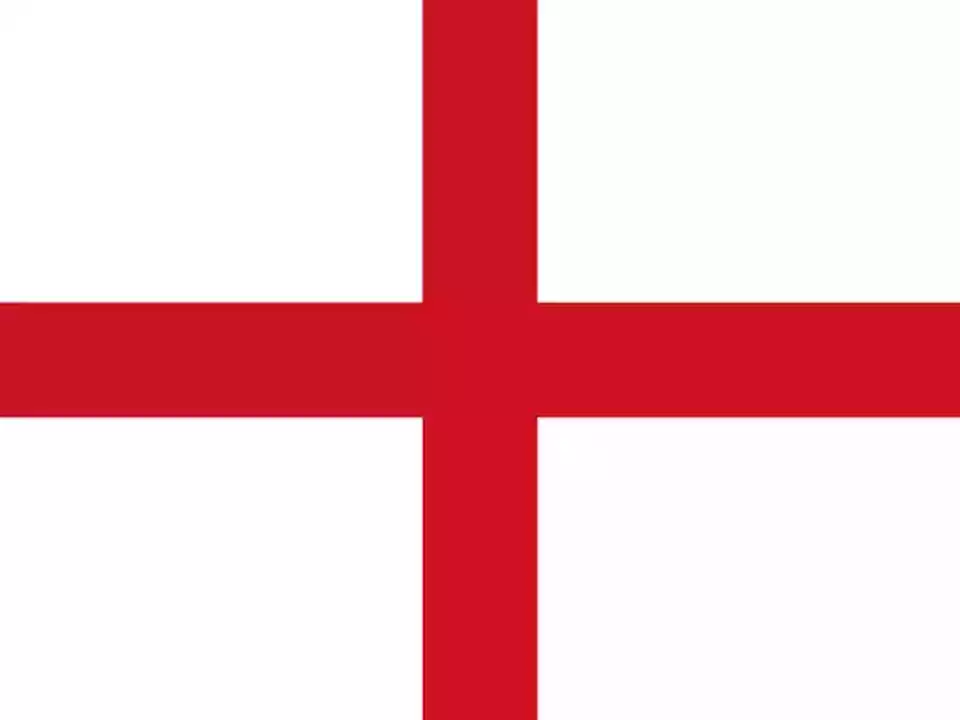 Professional County Club Select XI logo