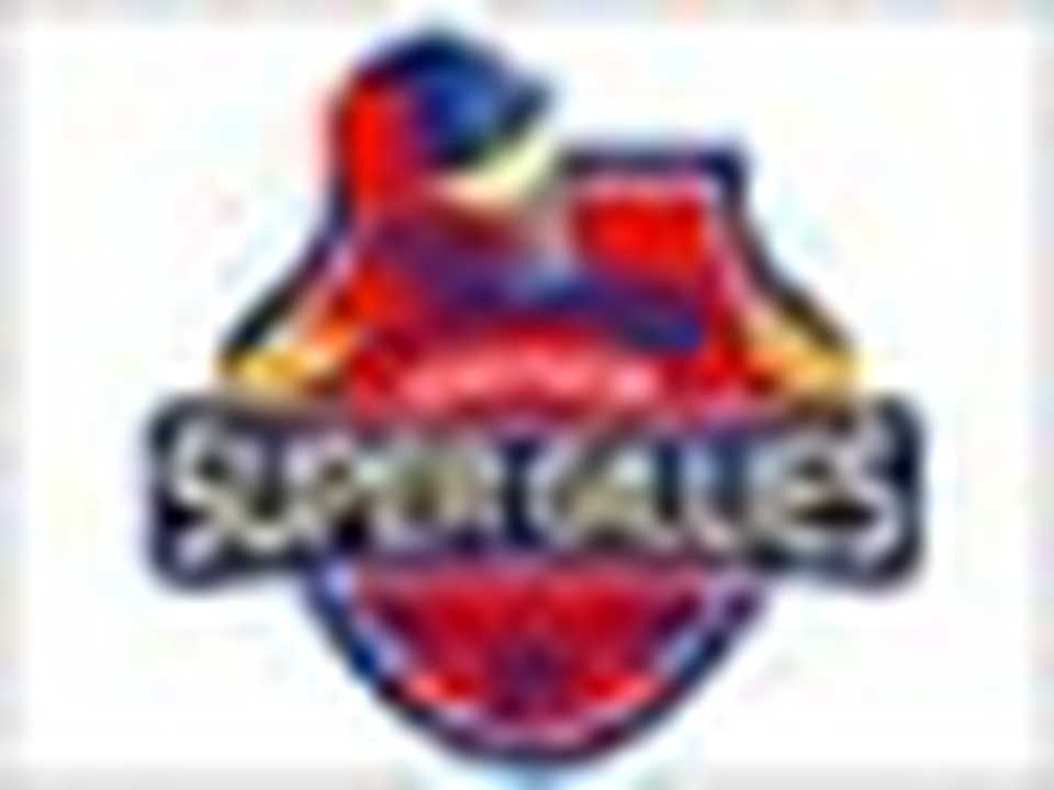 Chepauk Super Gillies logo