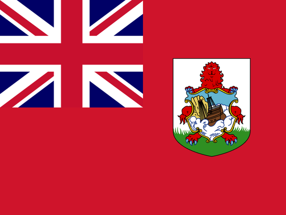 Bermuda logo